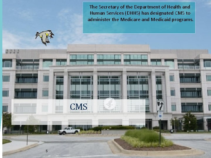 The Secretary of the Department of Health and Human Services (DHHS) has designated CMS