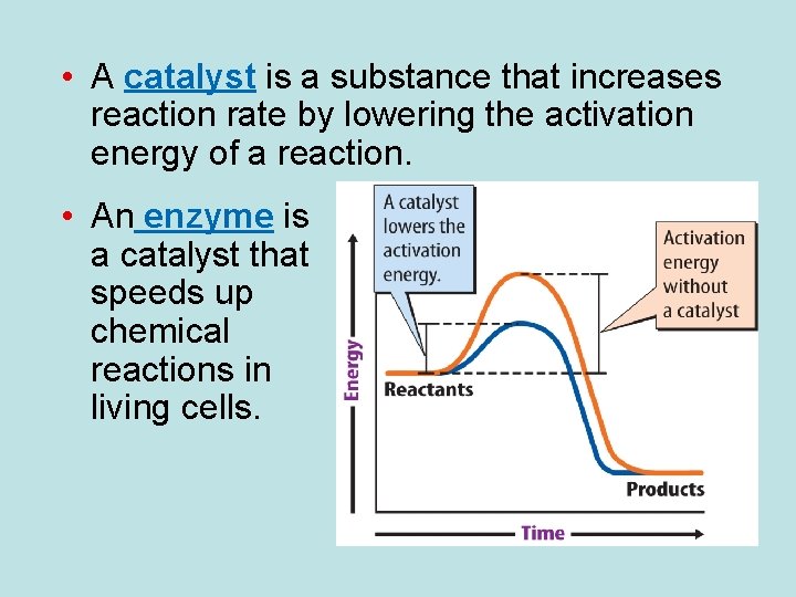  • A catalyst is a substance that increases reaction rate by lowering the