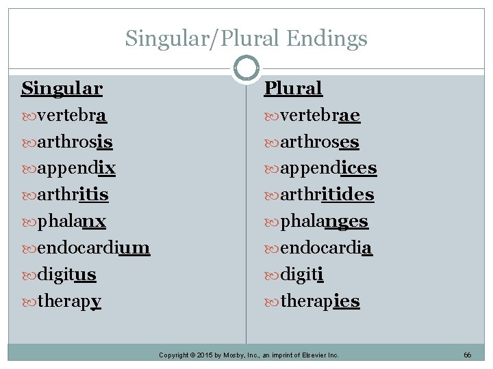 Singular/Plural Endings Singular vertebra arthrosis appendix arthritis phalanx endocardium digitus therapy Plural vertebrae arthroses Singular/Plural Endings Singular vertebra arthrosis appendix arthritis phalanx endocardium digitus therapy Plural vertebrae arthroses