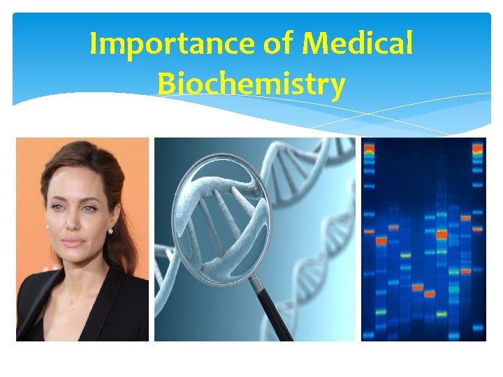 Importance of Medical Biochemistry 