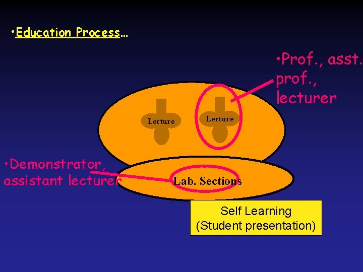  • Education Process… • Prof. , asst. prof. , lecturer Lecture • Demonstrator,