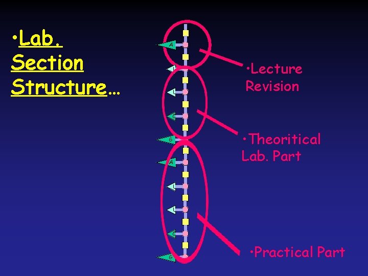  • Lab. Section Structure… A U U • Lecture Revision C • Theoritical