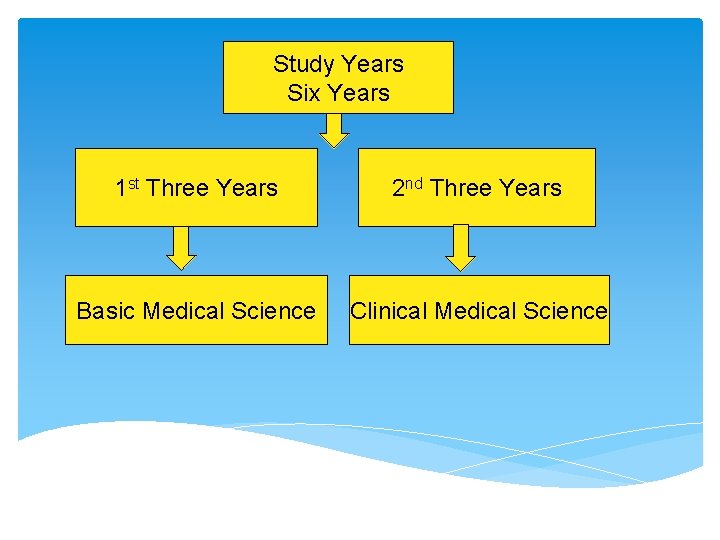 Study Years Six Years 1 st Three Years 2 nd Three Years Basic Medical