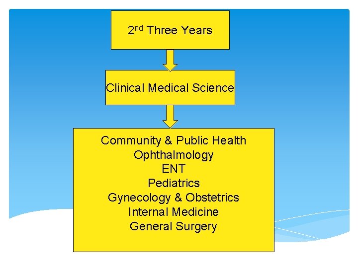 2 nd Three Years Clinical Medical Science Community & Public Health Ophthalmology ENT Pediatrics