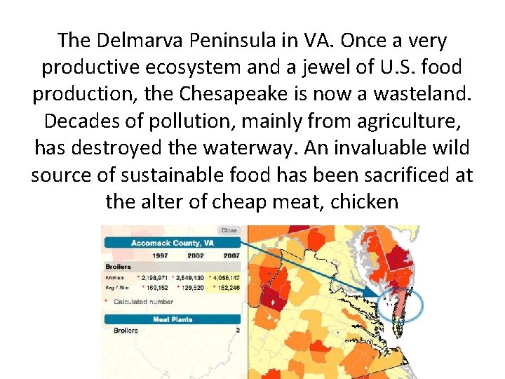 The Delmarva Peninsula in VA. Once a very productive ecosystem and a jewel of