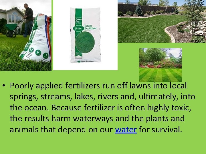 Do you fertilize your lawn? • Poorly applied fertilizers run off lawns into local