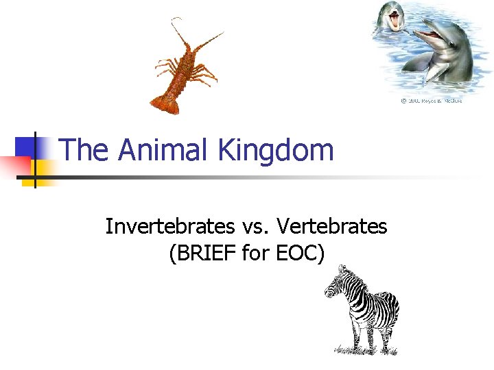 The Animal Kingdom Invertebrates vs. Vertebrates (BRIEF for EOC) 