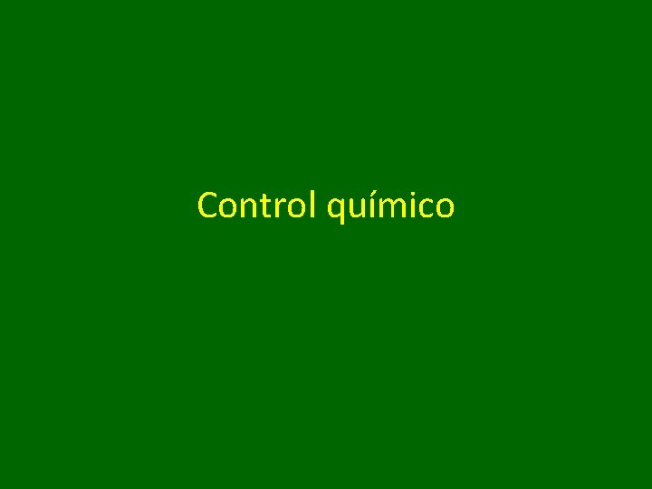 Control químico 