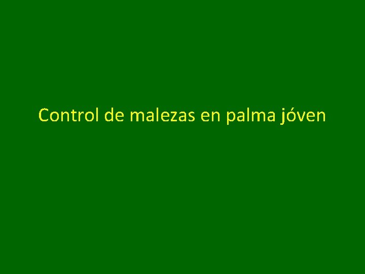 Control de malezas en palma jóven 