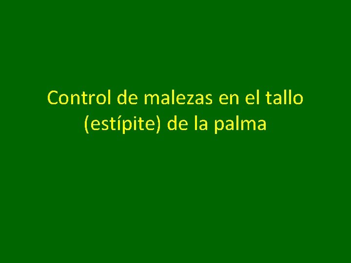 Control de malezas en el tallo (estípite) de la palma 