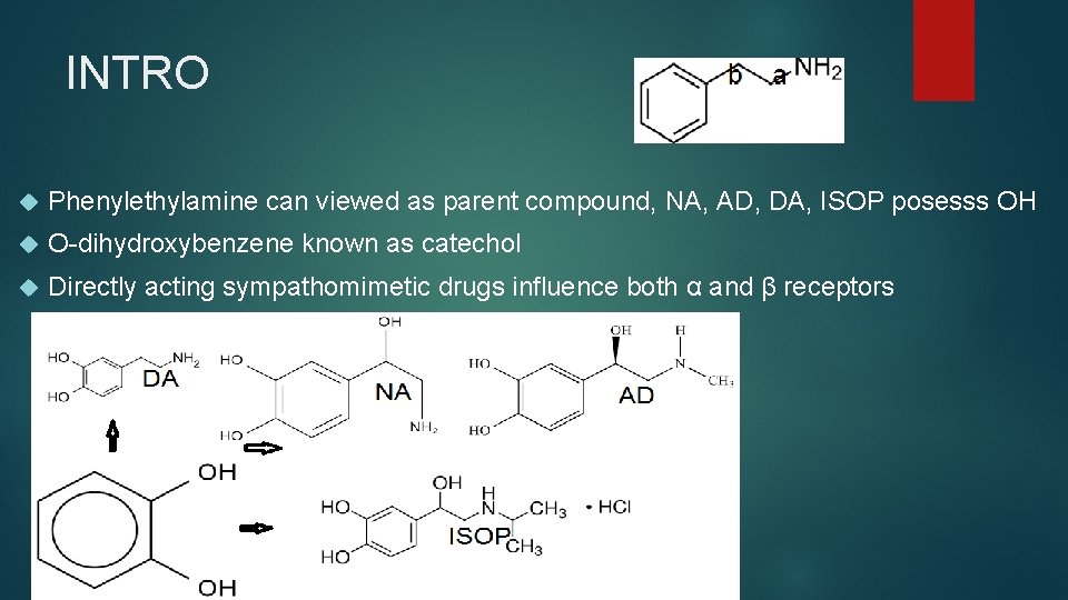 INTRO Phenylethylamine can viewed as parent compound, NA, AD, DA, ISOP posesss OH O-dihydroxybenzene