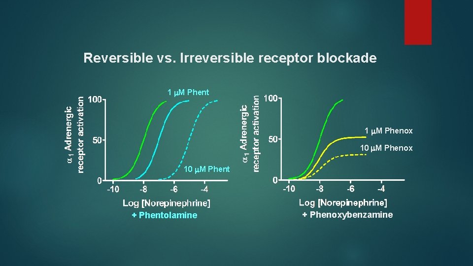Reversible vs. Irreversible receptor blockade 1 M Phent 1 M Phenox 10 M Phent