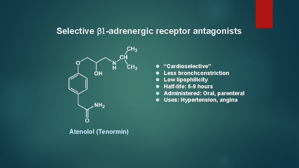 Selective 1 -adrenergic receptor antagonists l l l Atenolol (Tenormin) “Cardioselective” Less bronchconstriction Low