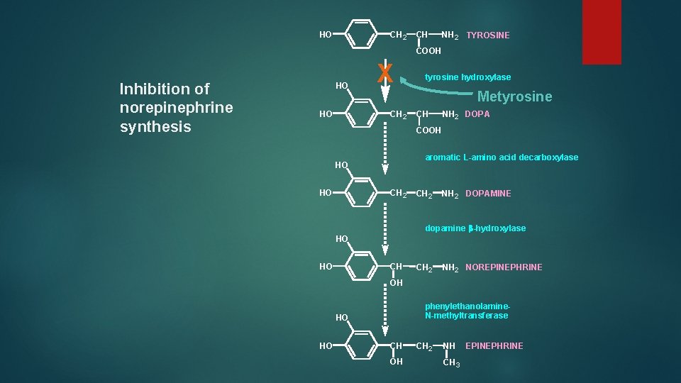 HO CH 2 CH NH 2 TYROSINE COOH Inhibition of norepinephrine synthesis HO HO