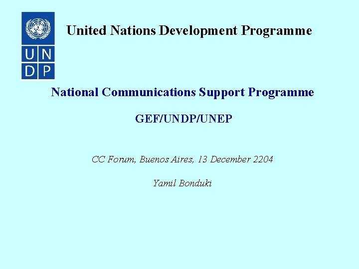 United Nations Development Programme National Communications Support Programme GEF/UNDP/UNEP CC Forum, Buenos Aires, 13