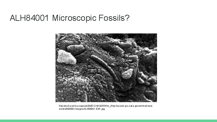 ALH 84001 Microscopic Fossils? http: //web. archive. org/web/20051218192636 im_/http: //curator. jsc. nasa. gov/antmet/mars mets/alh