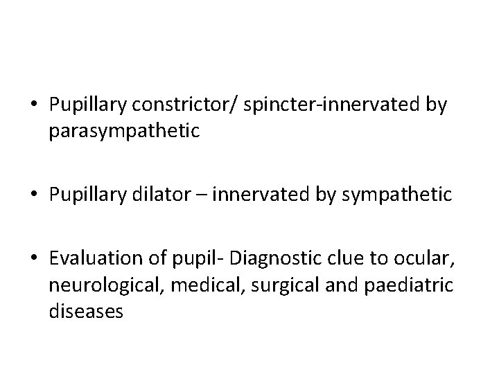  • Pupillary constrictor/ spincter-innervated by parasympathetic • Pupillary dilator – innervated by sympathetic