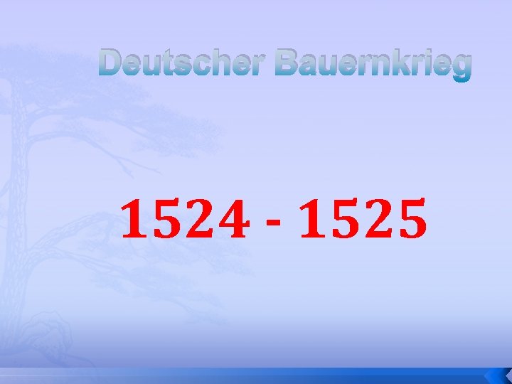 Deutscher Bauernkrieg 1524 - 1525 