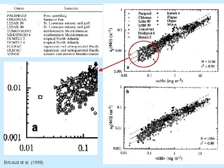 Bricaud et al. (1998) Bricaud et al. (1998)