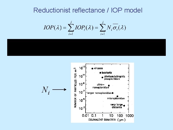 Reductionist reflectance / IOP model Ni Reductionist reflectance / IOP model Ni