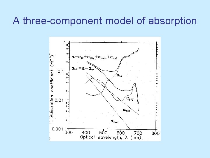 A three-component model of absorption A three-component model of absorption