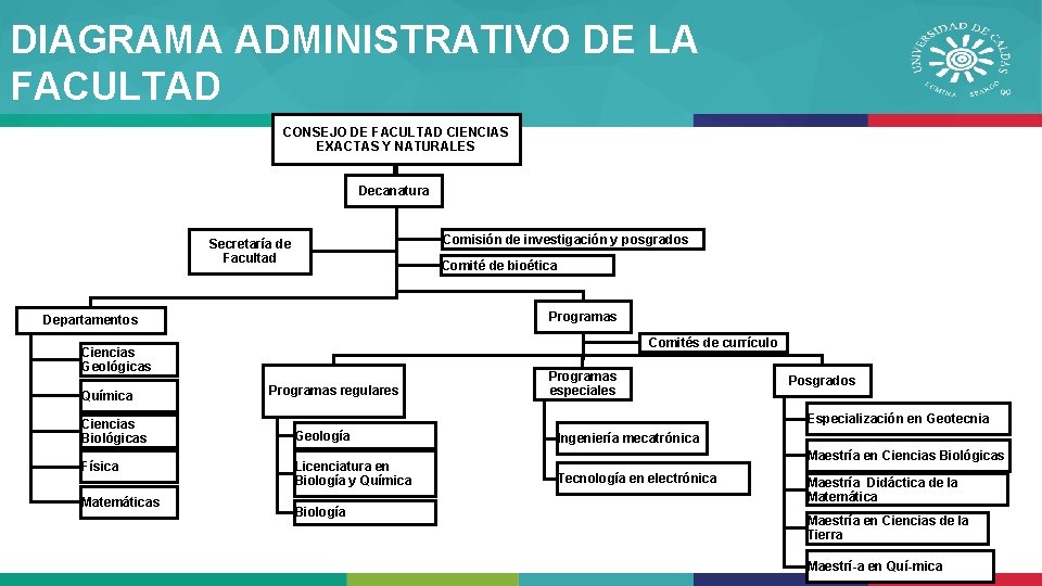 DIAGRAMA ADMINISTRATIVO DE LA FACULTAD CONSEJO DE FACULTAD CIENCIAS EXACTAS Y NATURALES Decanatura Comisión