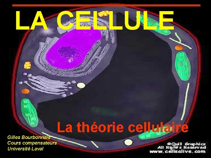 LA CELLULE La théorie cellulaire Gilles Bourbonnais Cours compensateurs Université Laval 