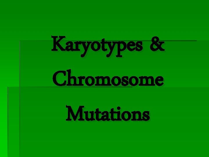 Karyotypes & Chromosome Mutations 