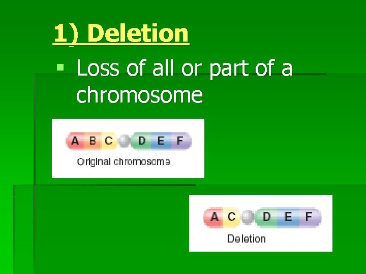 1) Deletion § Loss of all or part of a chromosome 