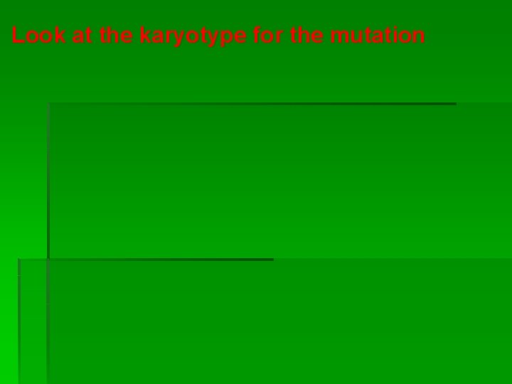 Look at the karyotype for the mutation 