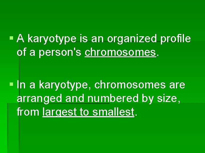 § A karyotype is an organized profile of a person's chromosomes. § In a