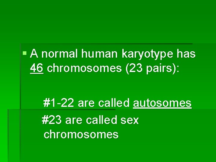 § A normal human karyotype has 46 chromosomes (23 pairs): #1 -22 are called