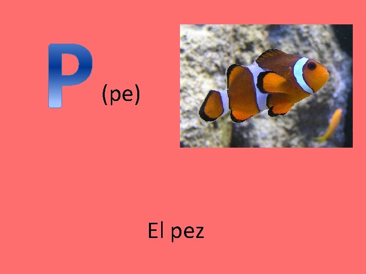 (pe) El pez (pe) El pez