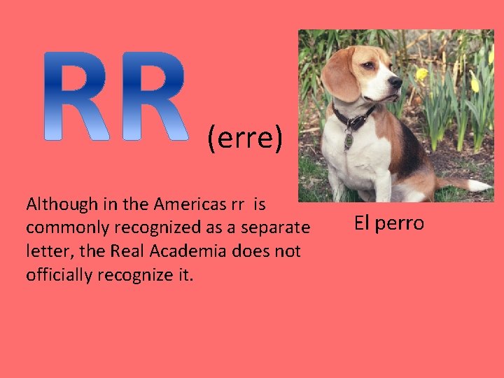(erre) Although in the Americas rr is commonly recognized as a separate letter, the