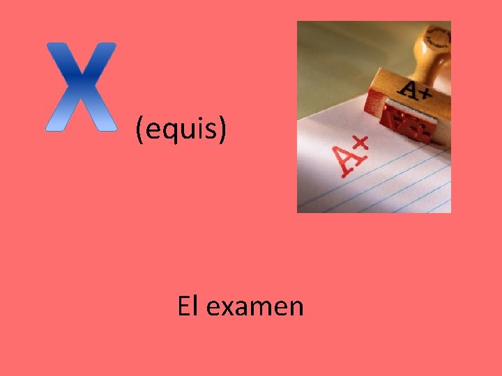(equis) El examen (equis) El examen