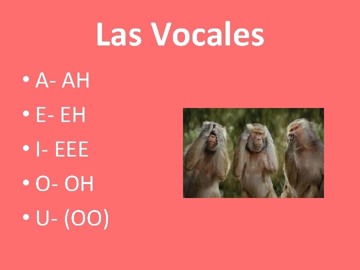 Las Vocales • A- AH • E- EH • I- EEE • O- OH