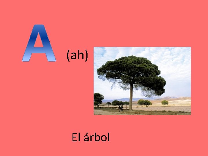 (ah) El árbol (ah) El árbol