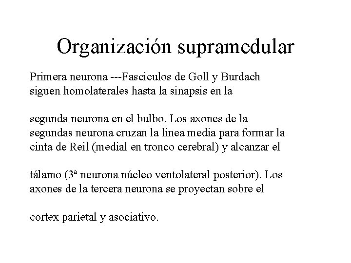 Organización supramedular Primera neurona ---Fasciculos de Goll y Burdach siguen homolaterales hasta la sinapsis