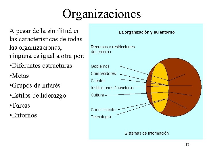 Organizaciones A pesar de la similitud en las características de todas las organizaciones, ninguna