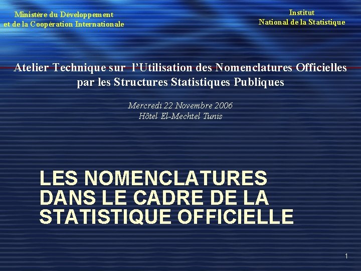 Institut National de la Statistique Ministère du Développement et de la Coopération Internationale Atelier Institut National de la Statistique Ministère du Développement et de la Coopération Internationale Atelier