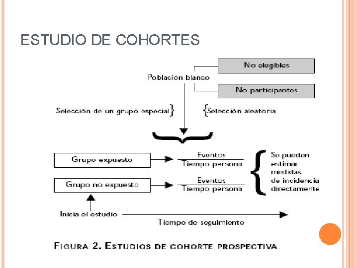 ESTUDIO DE COHORTES 