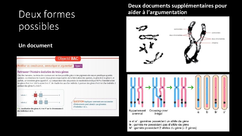 Deux formes possibles Un document Deux documents supplémentaires pour aider à l’argumentation 