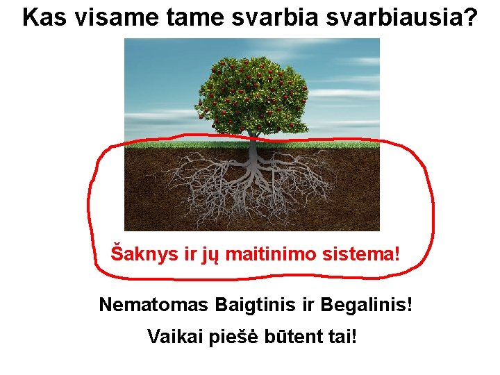 Kas visame tame svarbiausia? Šaknys ir jų maitinimo sistema! Nematomas Baigtinis ir Begalinis! Vaikai