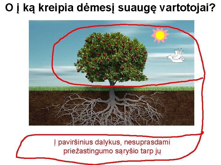 O į ką kreipia dėmesį suaugę vartotojai? Į paviršinius dalykus, nesuprasdami priežastingumo sąryšio tarp