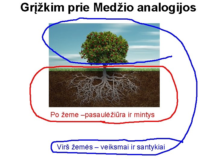 Grįžkim prie Medžio analogijos Po žeme –pasaulėžiūra ir mintys Virš žemės – veiksmai ir