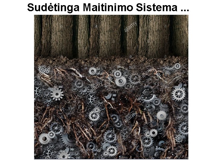 Sudėtinga Maitinimo Sistema. . . 