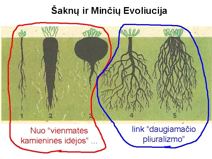 Šaknų ir Minčių Evoliucija Nuo “vienmatės kamieninės idėjos”. . . link “daugiamačio pliuralizmo” 