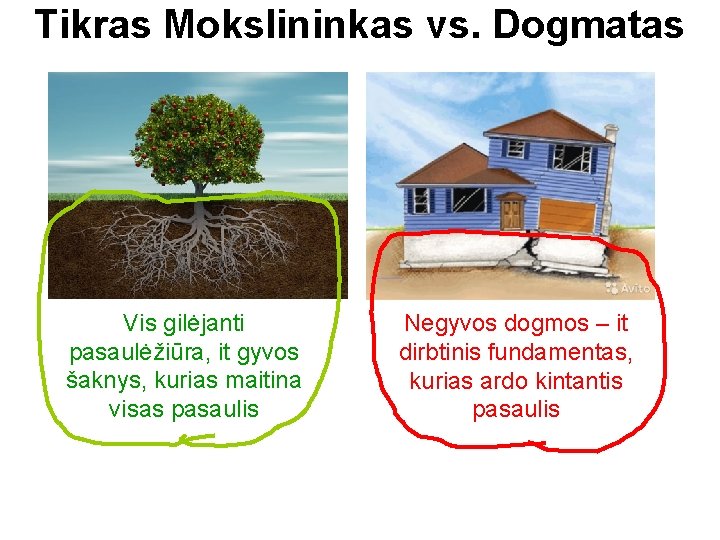 Tikras Mokslininkas vs. Dogmatas Vis gilėjanti pasaulėžiūra, it gyvos šaknys, kurias maitina visas pasaulis