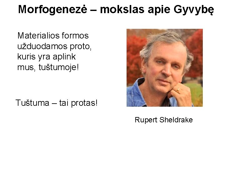 Morfogenezė – mokslas apie Gyvybę Materialios formos užduodamos proto, kuris yra aplink mus, tuštumoje! Morfogenezė – mokslas apie Gyvybę Materialios formos užduodamos proto, kuris yra aplink mus, tuštumoje!