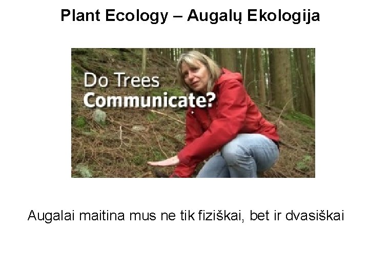 Plant Ecology – Augalų Ekologija Augalai maitina mus ne tik fiziškai, bet ir dvasiškai